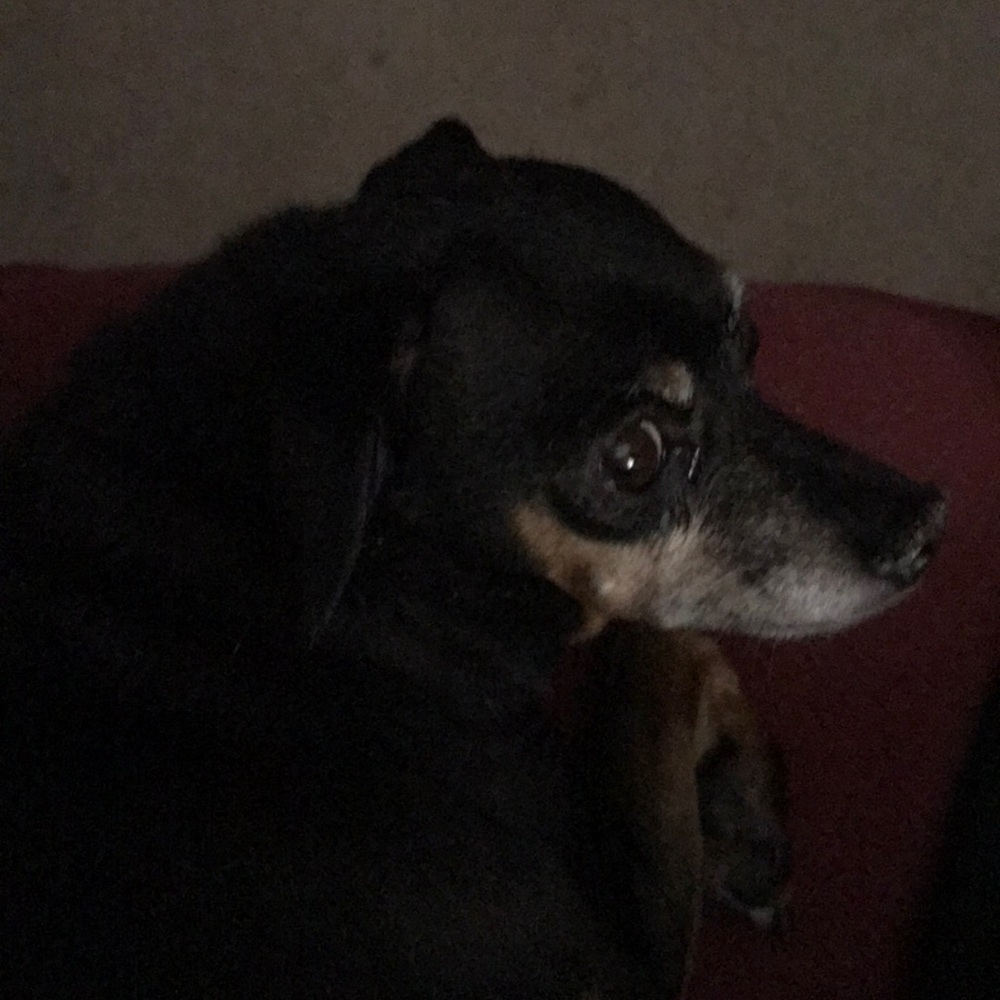 Meet your Posher, Rae ann